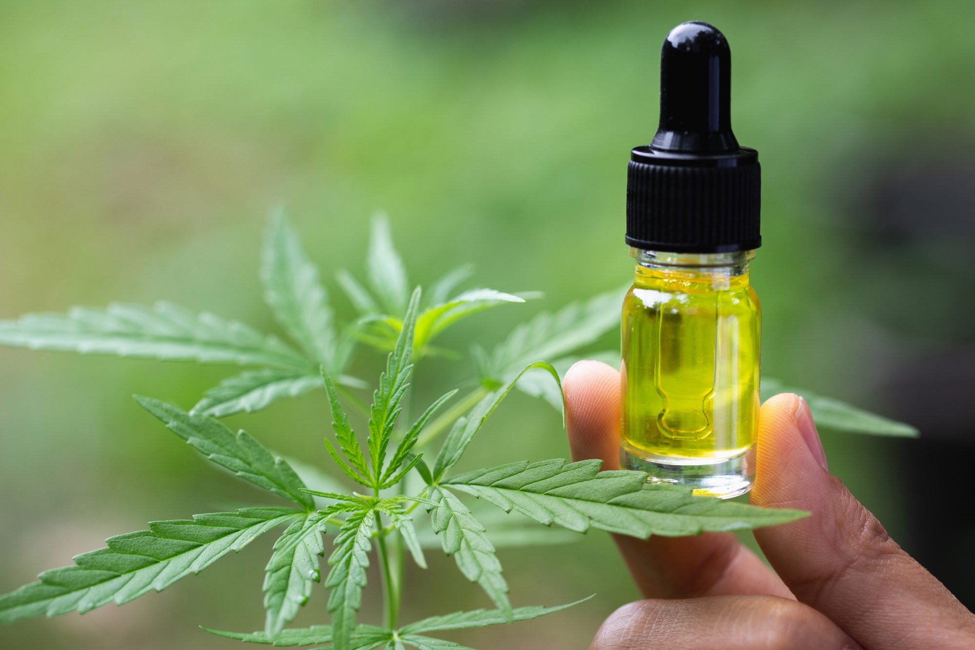 How To Use CBD Oil For The Treatment Of Inflammation