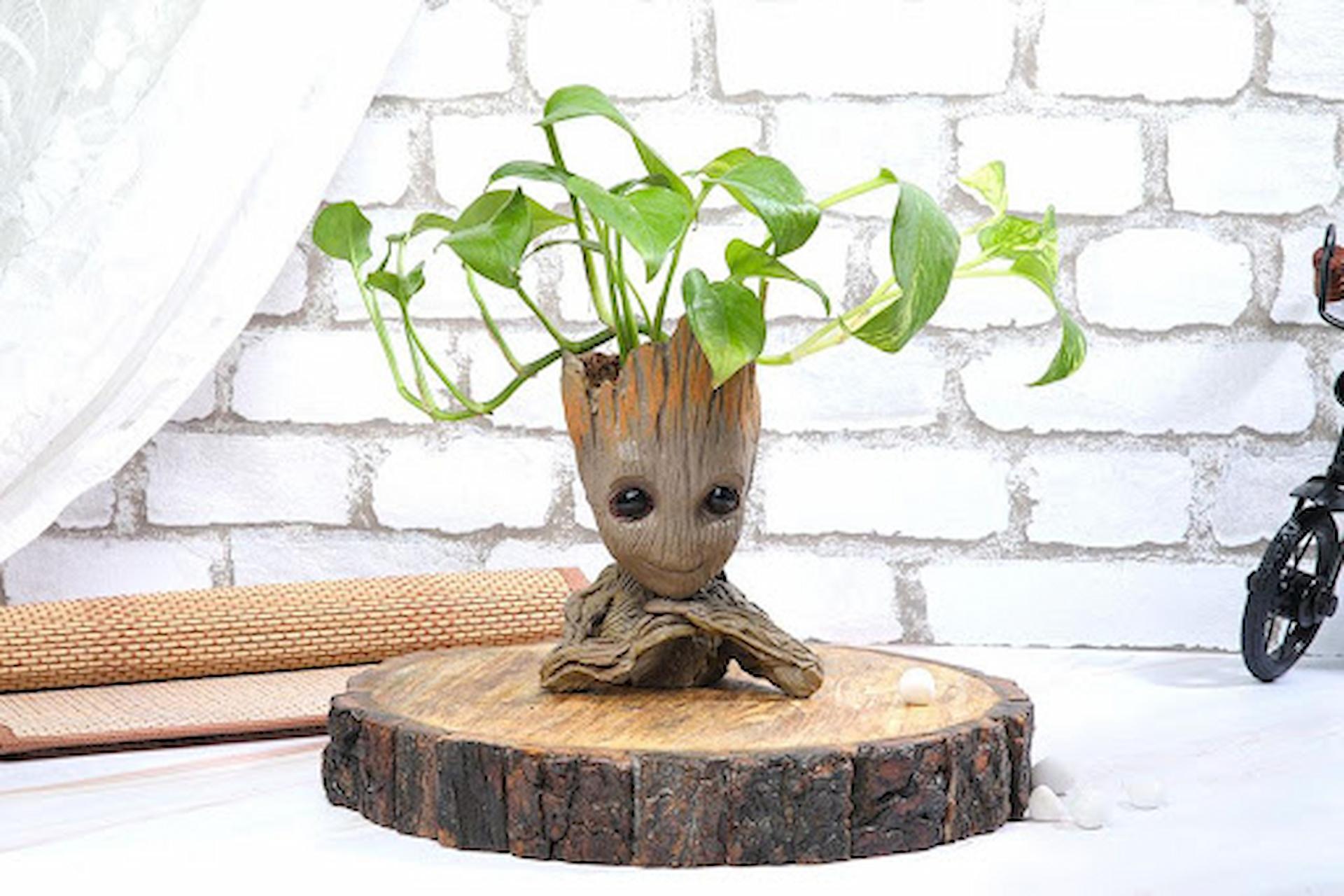 Best Way To Use Baby Groot Plant