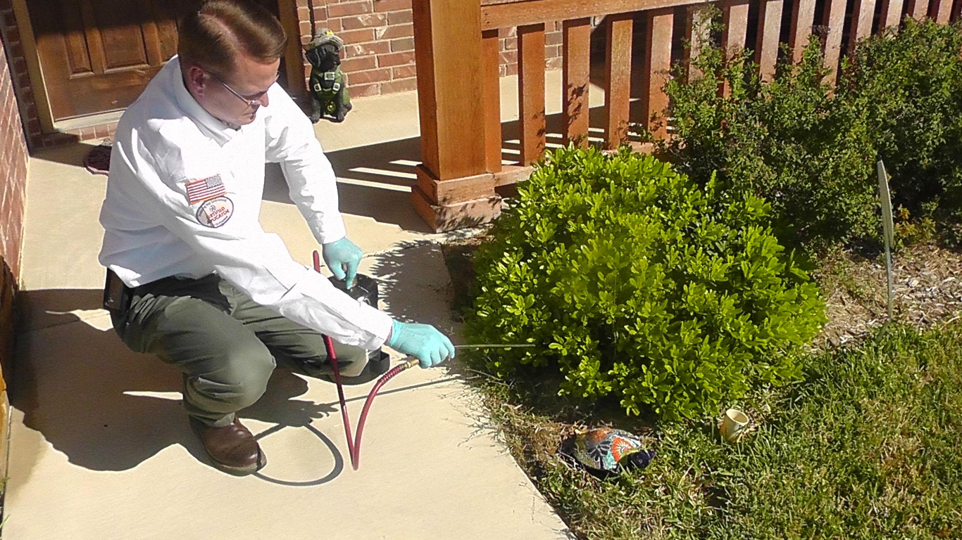 Pest Control:- A Way To Remove Dangerous Pest From Your Surroundings