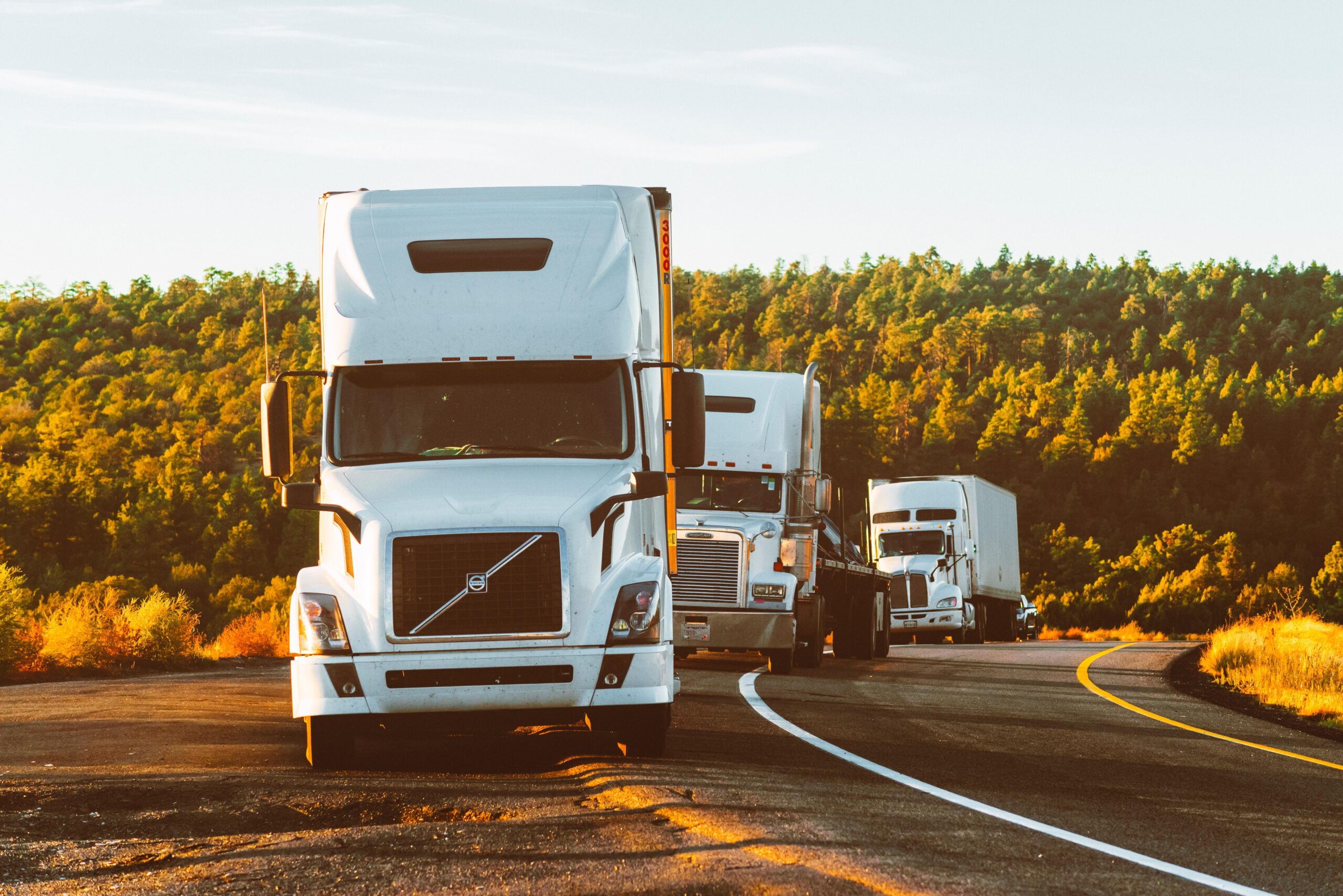 Everything You Need To Know About FORS Gold Transportation Certification