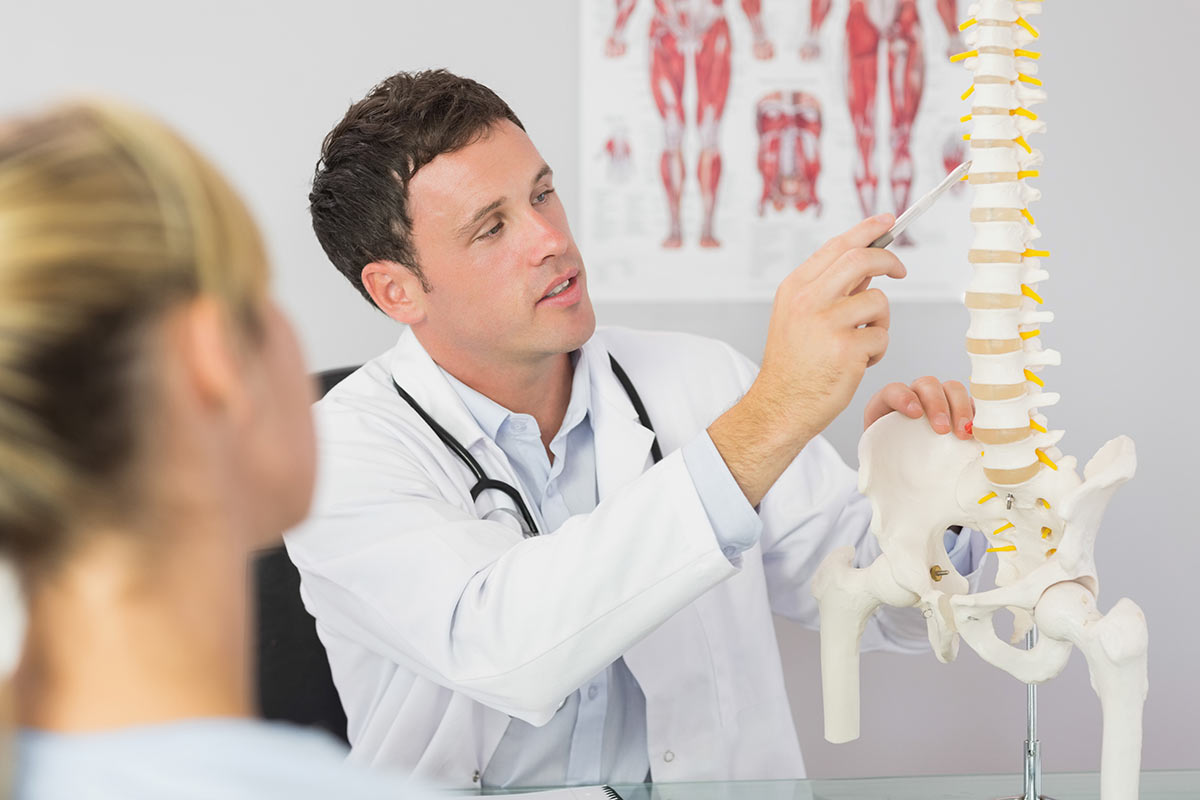 Who Are The Ideal Candidates To Apply For Jobs For Chiropractors!